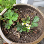 Apr 26 - 4